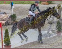 6COMPLET600