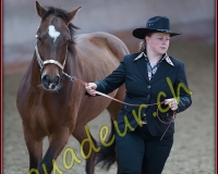 1WESTERN019