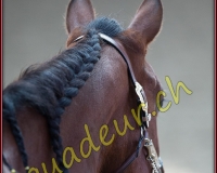1WESTERN029