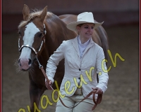 1WESTERN036