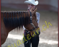 1WESTERN044