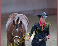 1WESTERN096