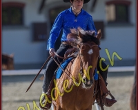 1WESTERN121