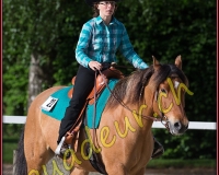 1WESTERN151