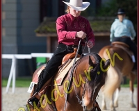 1WESTERN161