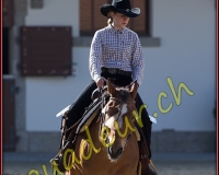 1WESTERN181