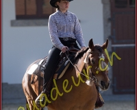 1WESTERN188