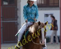1WESTERN200