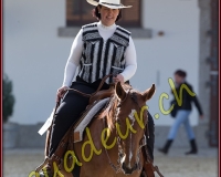 1WESTERN207