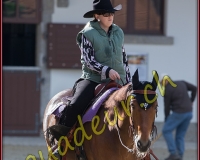 1WESTERN228