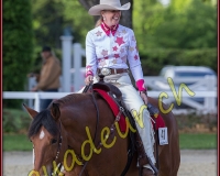 1WESTERN244