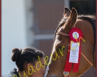 1WESTERN259