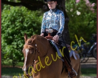 1WESTERN273