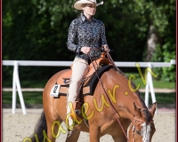 1WESTERN279
