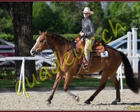 1WESTERN281