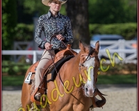 1WESTERN292