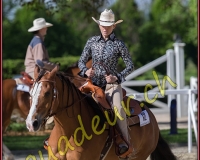1WESTERN330