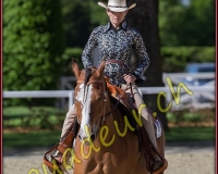 1WESTERN333