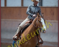 1WESTERN359