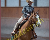 1WESTERN360