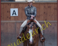 1WESTERN366