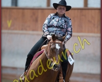 1WESTERN376