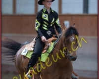 1WESTERN377