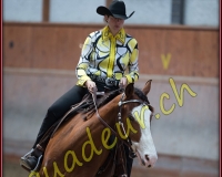 1WESTERN381