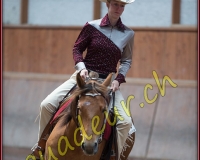1WESTERN386
