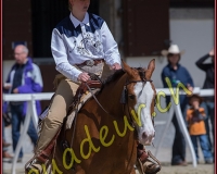 1WESTERN423