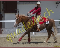 1WESTERN437