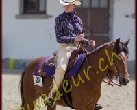 1WESTERN440