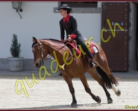 1WESTERN462