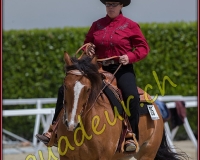 1WESTERN469