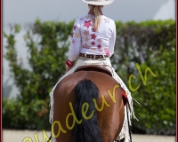 1WESTERN476