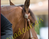 1WESTERN477