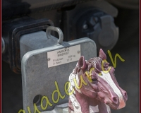 2WESTERN001