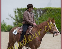 2WESTERN008