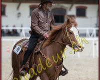 2WESTERN012
