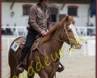 2WESTERN013