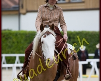 2WESTERN031