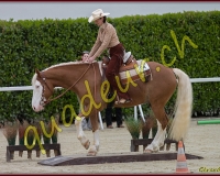 2WESTERN037