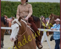 2WESTERN039