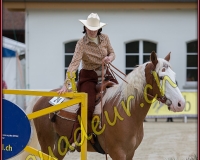 2WESTERN041