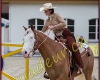 2WESTERN042