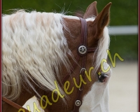 2WESTERN044