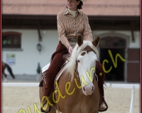 2WESTERN045