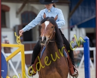 2WESTERN070
