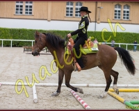 2WESTERN081