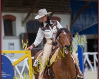2WESTERN089